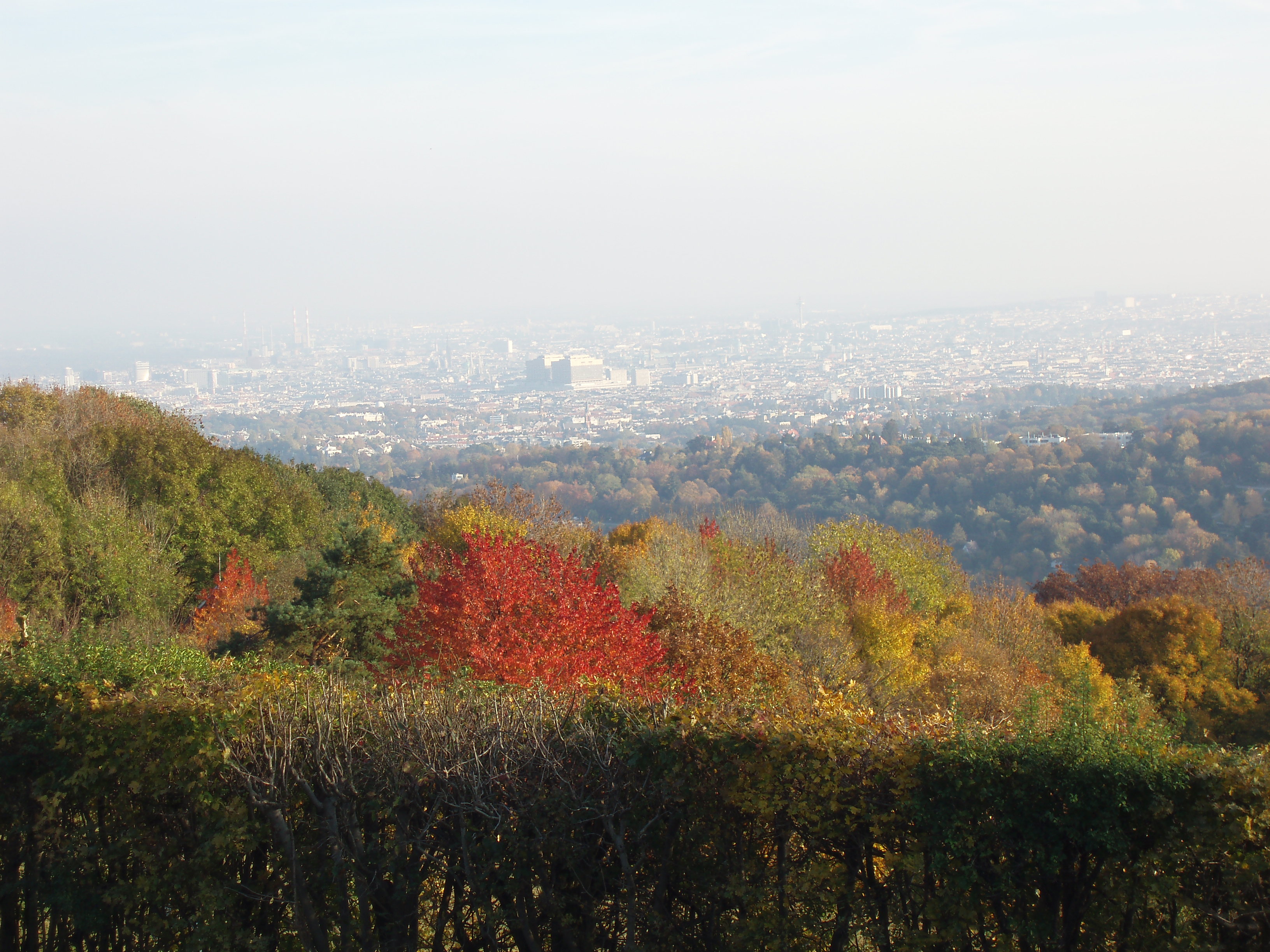 Schliessen von PA263382.JPG