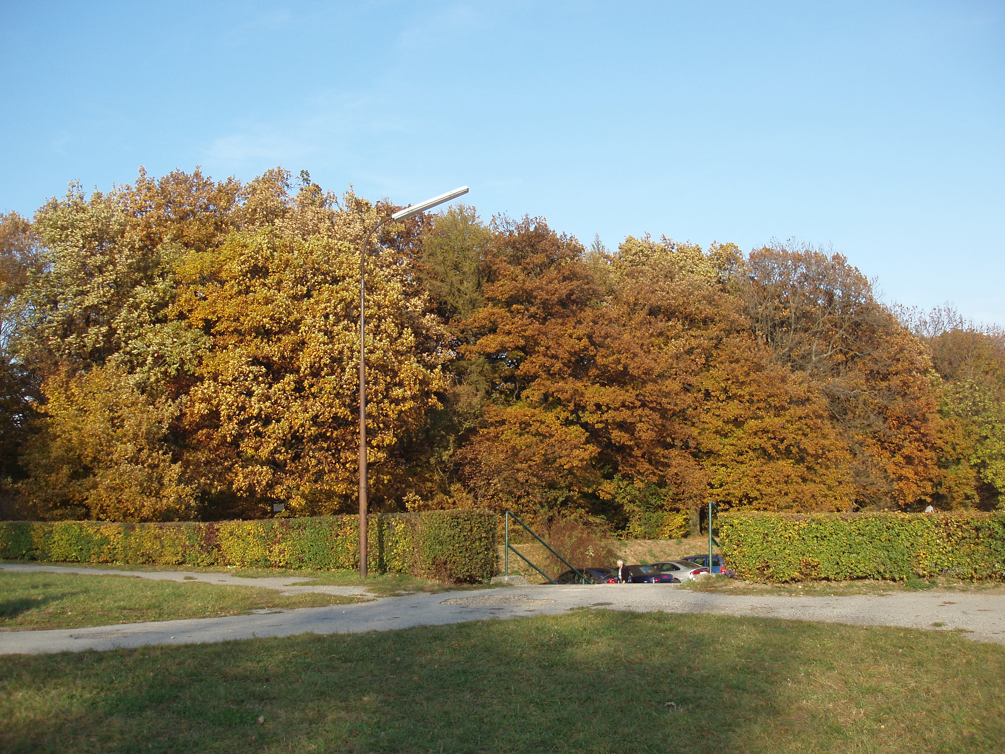 Schliessen von PA263385.JPG